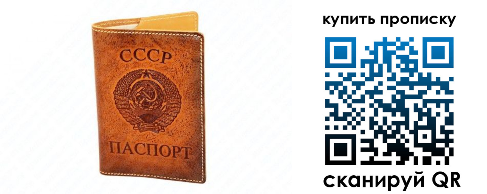 прописка поиск в Галиче